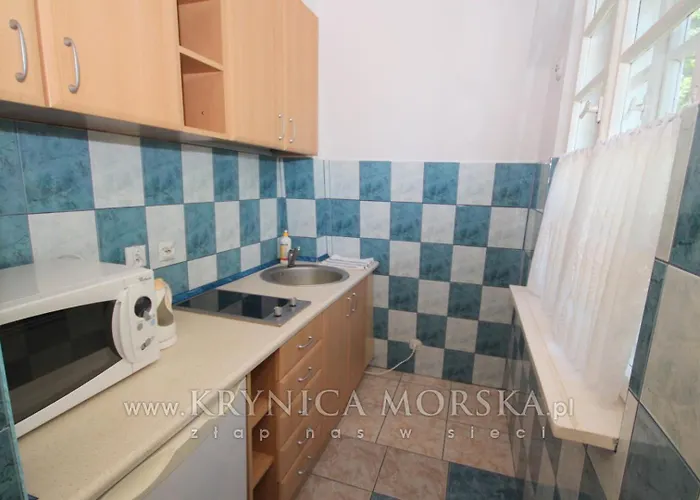 Gryf Blisko Plazy Krynica Morska