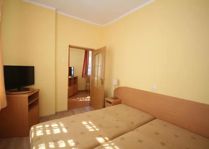 Gryf Blisko Plazy Krynica Morska