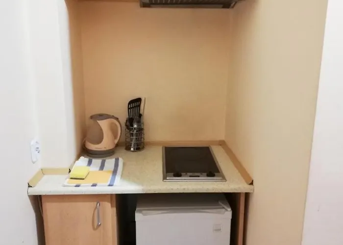 Gryf Blisko Plazy Krynica Morska